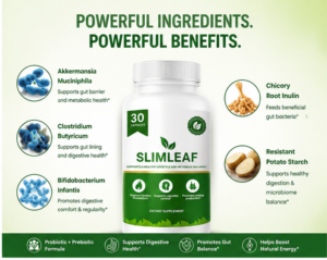 SlimLeaf Review Complete Buying Guide 2026