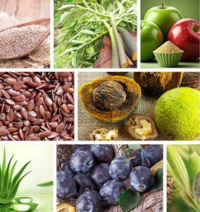 Gut Vita Review: A Complete Digestive Health Solution