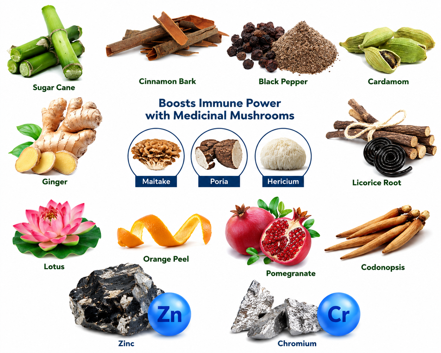 Integrative Digestive Formula ingredients explained